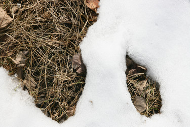 Similar image 594413