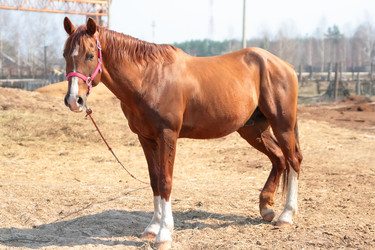 Similar image 594424