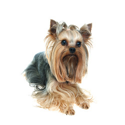 Similar image 594446