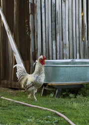 Similar image 594509