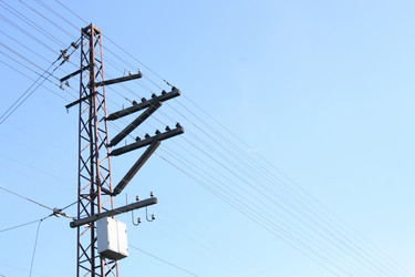 Similar image 594518