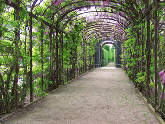 Similar image 594522