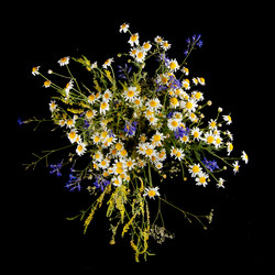 Similar image 594532