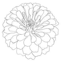 Similar image 594543