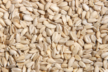 Similar image 594550