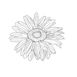 Similar image 594566