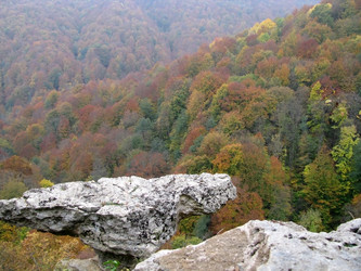 Similar image 594583