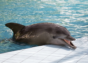 Similar image 594725