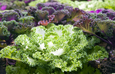 Similar image 594738