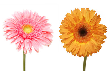 Similar image 594854