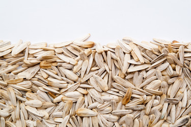 Similar image 594862