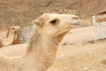 Similar image 594864