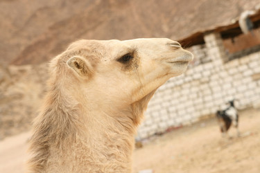 Similar image 594865