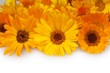 Similar image 594878