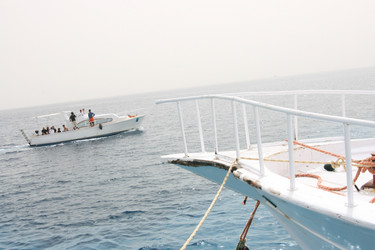 Similar image 594886