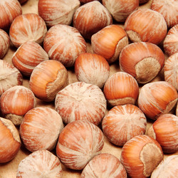 Similar image 594904