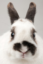 Similar image 594916