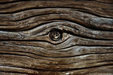 Similar image 594978