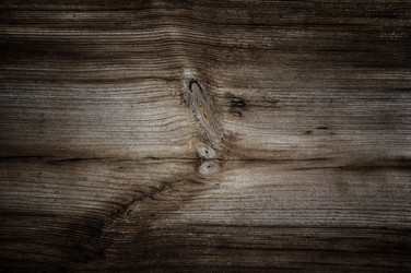 Similar image 594981