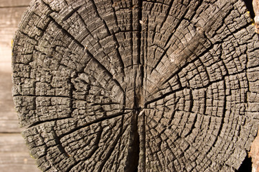 Similar image 594985