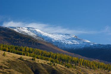 Similar image 594987