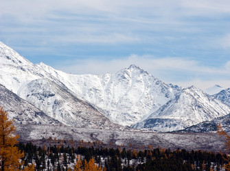 Similar image 594988