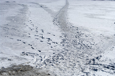 Similar image 594990