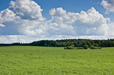 Similar image 595059