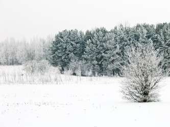 Similar image 595061