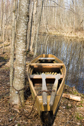 Similar image 595069