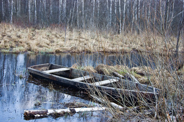 Similar image 595071