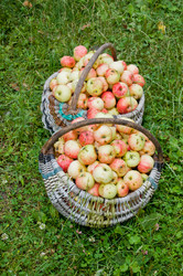 Similar image 595094