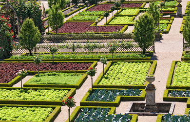 Similar image 595112