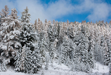 Similar image 595114