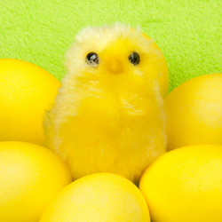 Similar image 595132