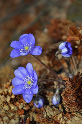 Similar image 595133