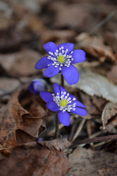 Similar image 595135