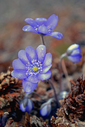 Similar image 595136