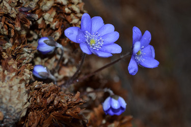 Similar image 595137