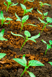 Similar image 595141