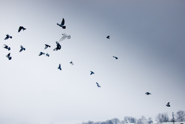 Similar image 595177