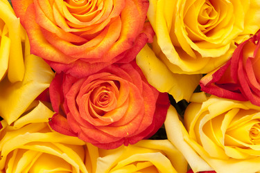 Similar image 595210