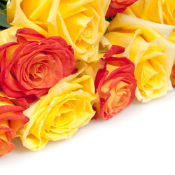 Similar image 595211