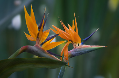 Similar image 595225