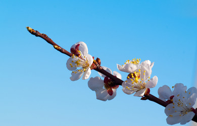 Similar image 595239