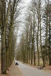 Similar image 595390