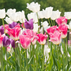 Similar image 595434