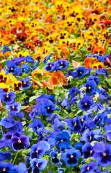 Similar image 595446