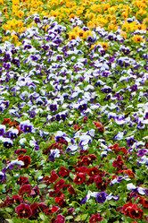 Similar image 595449