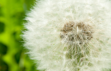 Similar image 595452